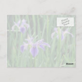 Paars Iris Briefkaart (Achterkant)