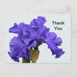Paars Iris Floral Foto: Dank je wel Briefkaart
