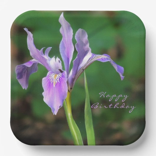 Paars Iris Papier Bord (Voorkant)