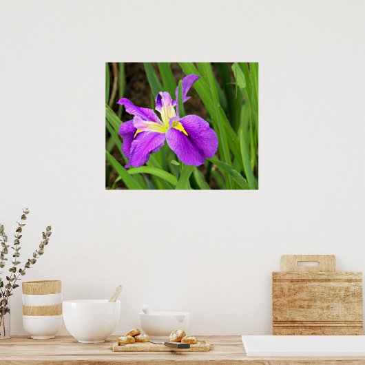 Paars Iris Poster (Keuken)