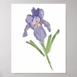 Paars Iris Waterverf Schilderend Poster