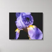 Paars Iris Wrapped Canvas (Voorkant)