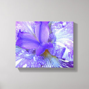 Paars Iris Wrapped Canvas Afdruk