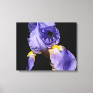 Paars Iris Wrapped Canvas Afdruk