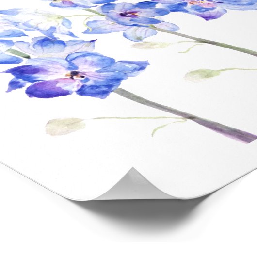 paars larkspur delphinium waterverf poster (Hoek)