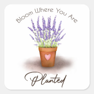  paars lavender plant pot-bloem aangeplant vierkante sticker