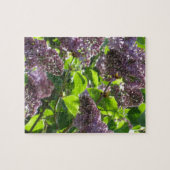 Paars Lila Legpuzzel (Horizontaal)