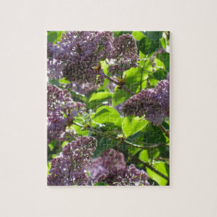 Paars Lila Legpuzzel