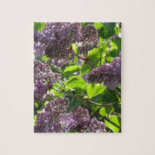 Paars Lila Legpuzzel (Verticaal)