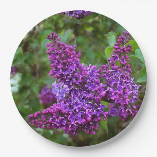Paars Lilacs op een lentedag Papieren Bordje