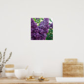 Paars Lilacs Poster Prints (Keuken)