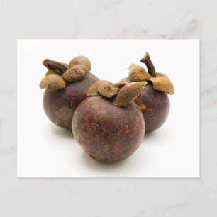 Paars Mangosteen Briefkaart
