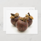 Paars Mangosteen Briefkaart (Voorkant / Achterkant)