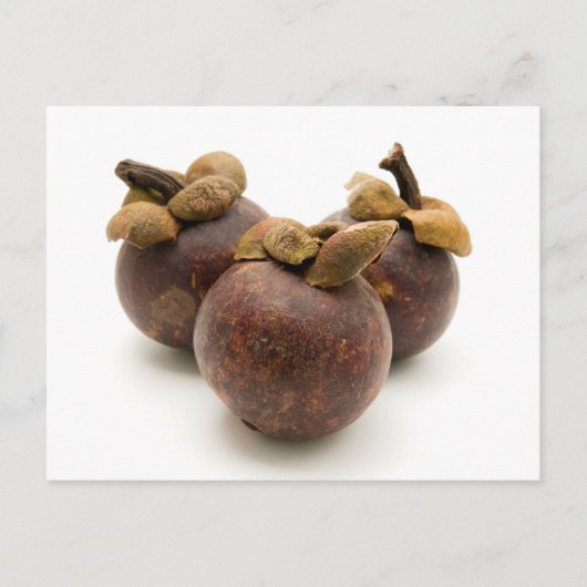 Paars Mangosteen Briefkaart (Voorkant)