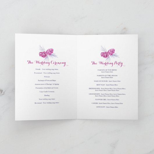 Paars najevuurbruiloftsprogramma voor de winter va programma (Binnen)