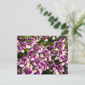 Paars Nemesia Flowers Briefkaart (Staand voorkant)