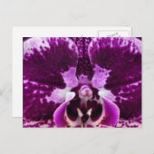 Paars Orchid Briefkaart (Voorkant / Achterkant)