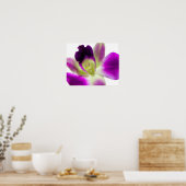 Paars Orchid Poster (Keuken)