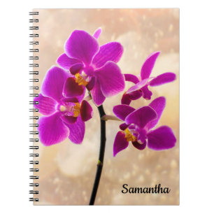 Paars orchidee spiraal notitieboek