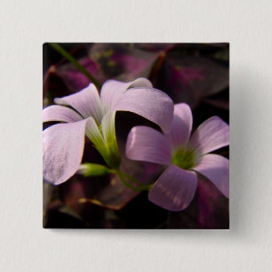 Paars Oxalis Blossom Vierkante Button 5,1 Cm