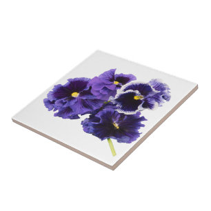 Paars Pansy Ceramic Tile Tegeltje