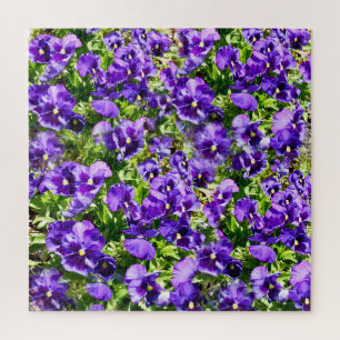 Paars Pansy Field Legpuzzel