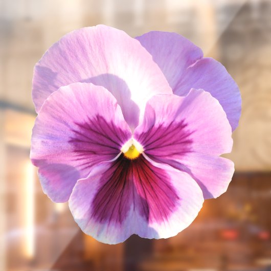 Paars Pansy Flower Raamsticker (Vel 2)