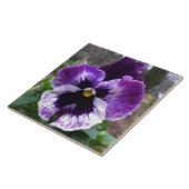 Paars Pansy Tile Tegeltje (Zijkant)