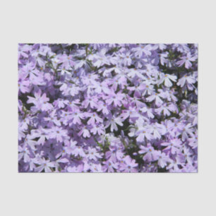 Paars papier voor Phlox-weefsel
