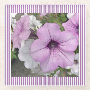 Paars Petunia Floral fotografie Glazen Onderzetter