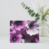 Paars Petunias Briefkaart (Staand voorkant)