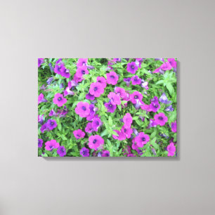 Paars Petunias Canvas Afdruk
