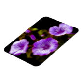 Paars Petunias Magneet (Linkerzijde)