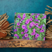 Paars Petunias Plaque Fotoplaat (Zijkant)