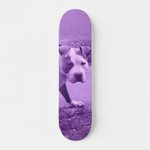 Paars Pit Bull Skateboard