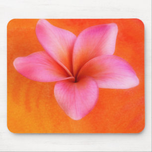 Paars Plumeria Tropical Frangipani Flower Oranje Muismat
