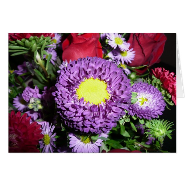 Paars Pom Mum (Voorkant Horizontaal)