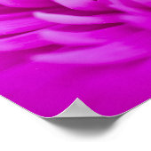 Paars Poster van chrysanthemum (Hoek)