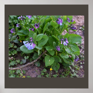 Paars Poster van wilde bloemen