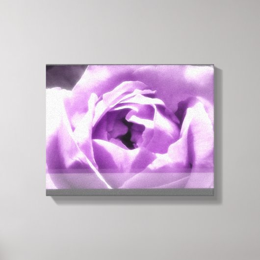 Paars Roos Canvas Afdruk (Voorkant)