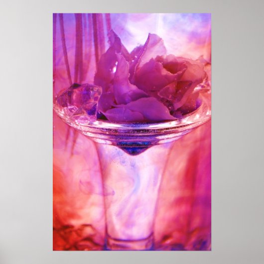 paars roos poster (Voorkant)