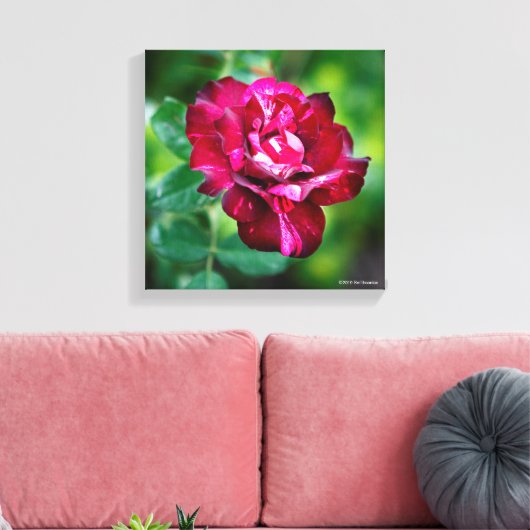 Paars Roos Tiger Canvas Afdruk (Insitu (Woonkamer))