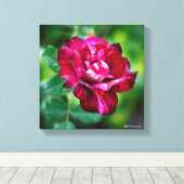 Paars Roos Tiger Canvas Afdruk (Insitu (Houten vloer))