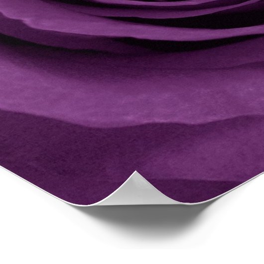 paars roos van Etsy Poster (Hoek)