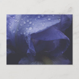 Paars Roos ventilator Briefkaart