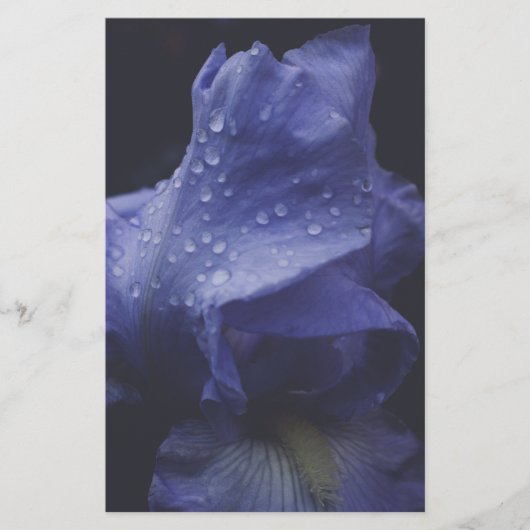 Paars Roos ventilator Briefpapier (Voorkant)