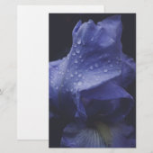 Paars Roos ventilator Briefpapier (Voorkant / Achterkant)