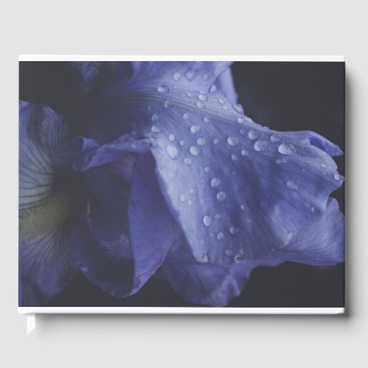 Paars Roos ventilator Gastenboek (Voorkant)