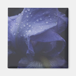 Paars Roos ventilator Magneet