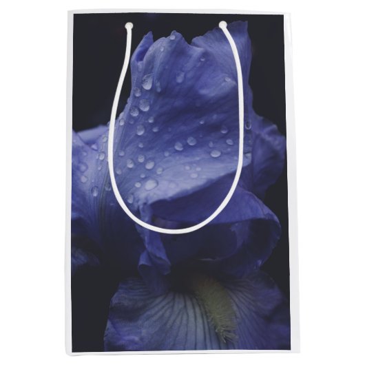 Paars Roos ventilator Medium Cadeauzakje (Voorkant)